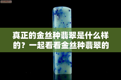 真正的金丝种翡翠是什么样的？一起看看金丝种翡翠的真面目