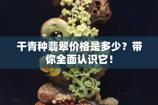 干青种翡翠价格是多少？带你全面认识它！