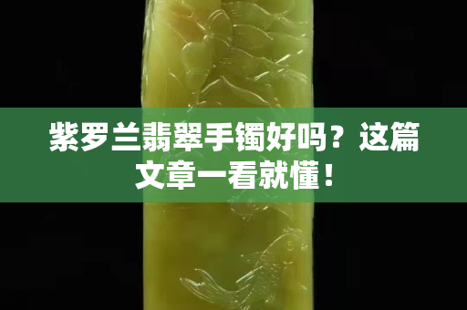 紫罗兰翡翠手镯好吗？这篇文章一看就懂！