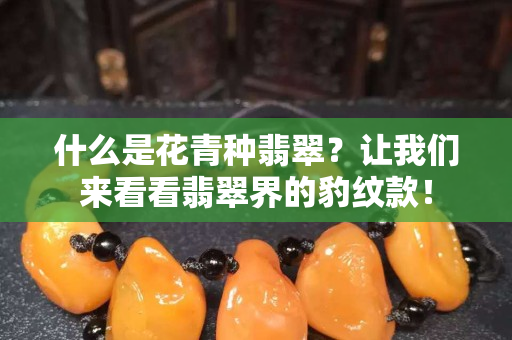 什么是花青种翡翠？让我们来看看翡翠界的豹纹款！