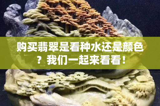 购买翡翠是看种水还是颜色？我们一起来看看！