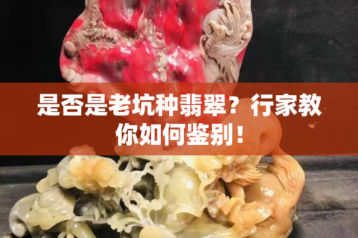 是否是老坑种翡翠？行家教你如何鉴别！