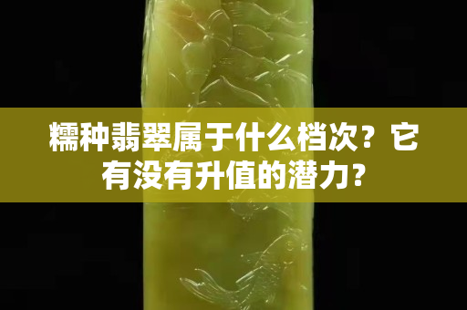 糯种翡翠属于什么档次？它有没有升值的潜力？