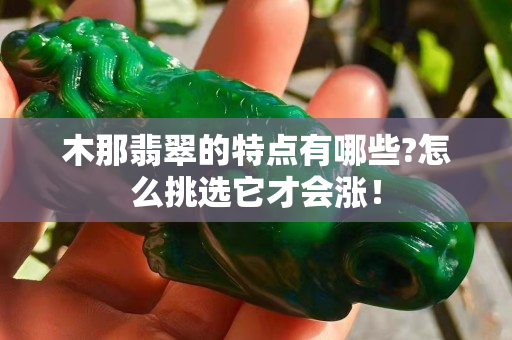 木那翡翠的特点有哪些?怎么挑选它才会涨！