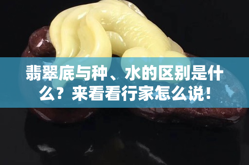 翡翠底与种、水的区别是什么？来看看行家怎么说！