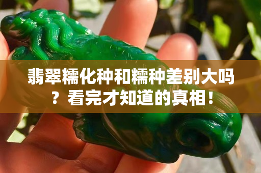 翡翠糯化种和糯种差别大吗？看完才知道的真相！