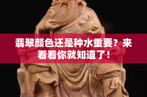 翡翠颜色还是种水重要？来看看你就知道了！