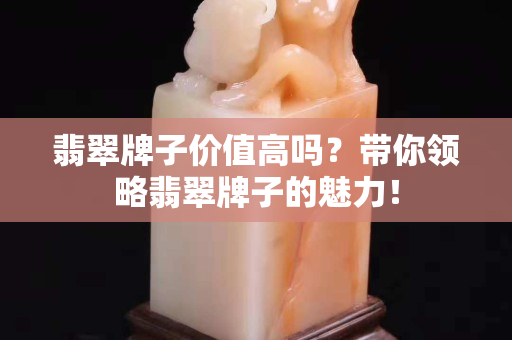 翡翠牌子价值高吗？带你领略翡翠牌子的魅力！