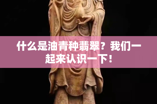 什么是油青种翡翠？我们一起来认识一下！