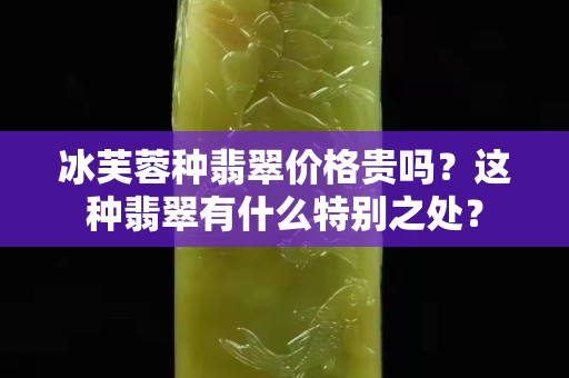 冰芙蓉种翡翠价格贵吗？这种翡翠有什么特别之处？