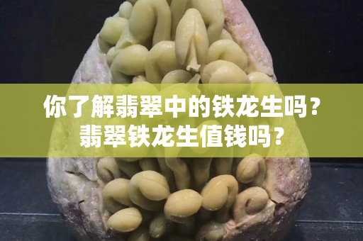 你了解翡翠中的铁龙生吗？翡翠铁龙生值钱吗？