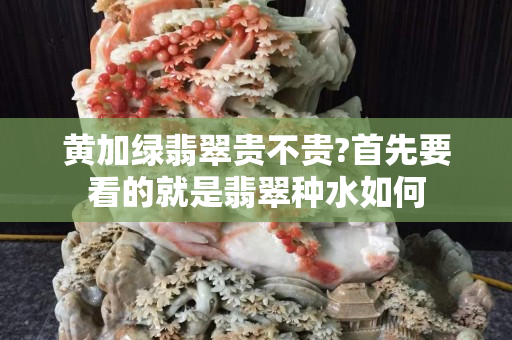 黄加绿翡翠贵不贵?首先要看的就是翡翠种水如何