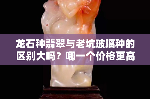 龙石种翡翠与老坑玻璃种的区别大吗？哪一个价格更高？