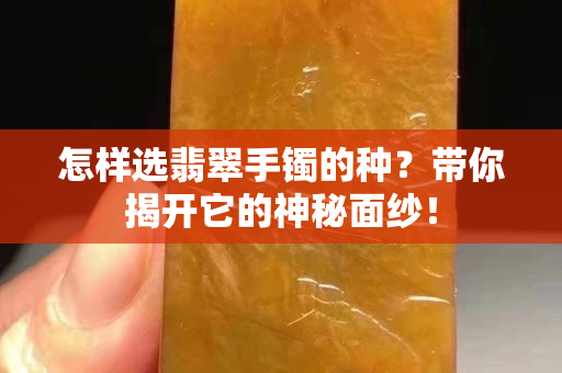 怎样选翡翠手镯的种？带你揭开它的神秘面纱！