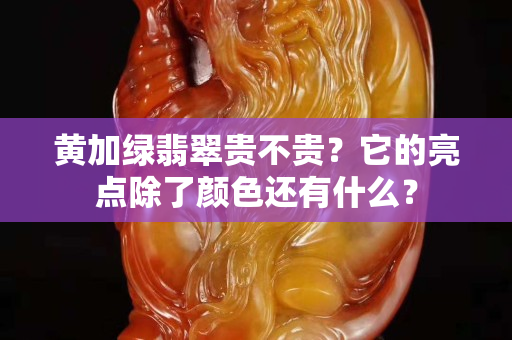 黄加绿翡翠贵不贵？它的亮点除了颜色还有什么？