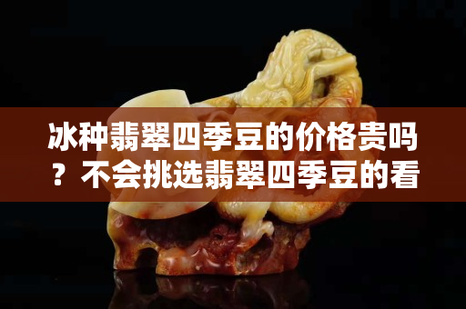 冰种翡翠四季豆的价格贵吗？不会挑选翡翠四季豆的看这里！