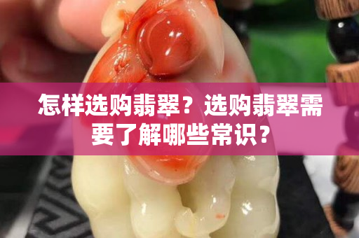 怎样选购翡翠？选购翡翠需要了解哪些常识？