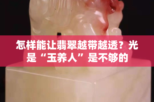 怎样能让翡翠越带越透？光是“玉养人”是不够的