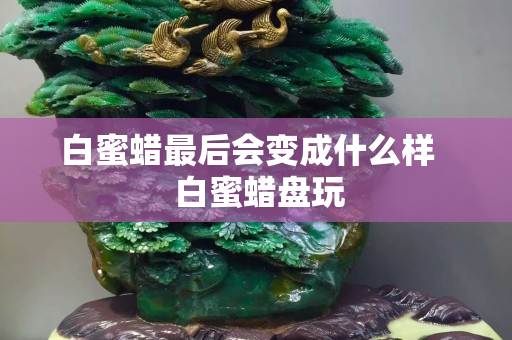 白蜜蜡最后会变成什么样   白蜜蜡盘玩