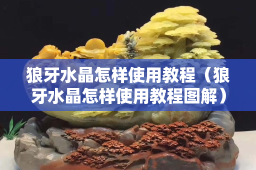 狼牙水晶怎样使用教程（狼牙水晶怎样使用教程图解）