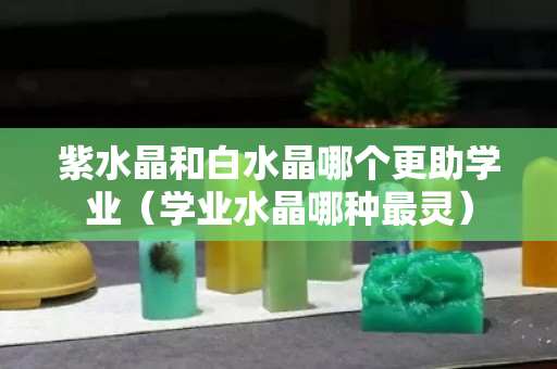 紫水晶和白水晶哪个更助学业（学业水晶哪种最灵）