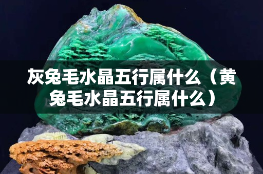 灰兔毛水晶五行属什么（黄兔毛水晶五行属什么）