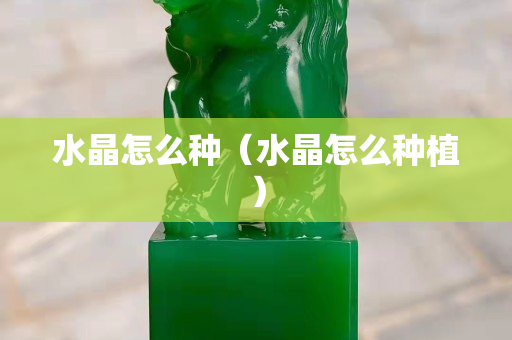 水晶怎么种（水晶怎么种植）