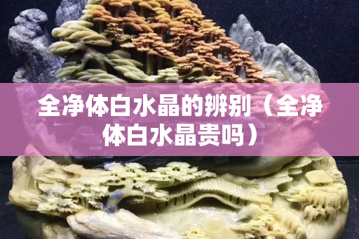 全净体白水晶的辨别（全净体白水晶贵吗）