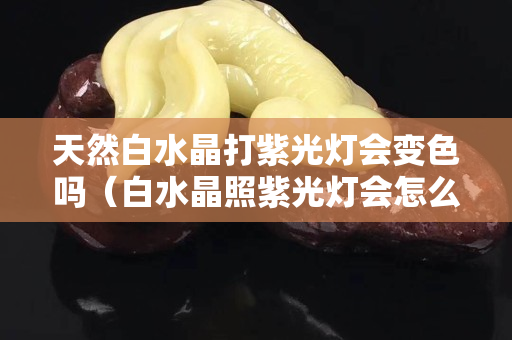 天然白水晶打紫光灯会变色吗（白水晶照紫光灯会怎么样）