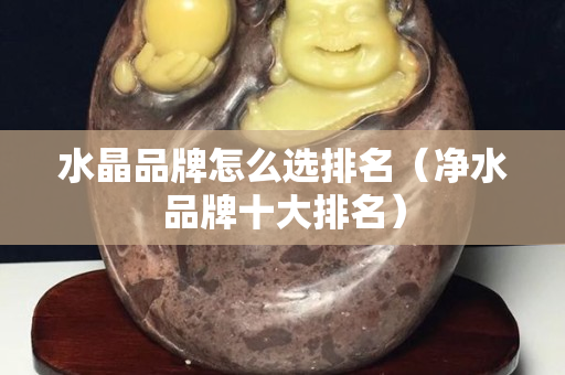 水晶品牌怎么选排名（净水品牌十大排名）