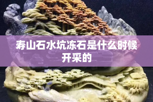 寿山石水坑冻石是什么时候开采的