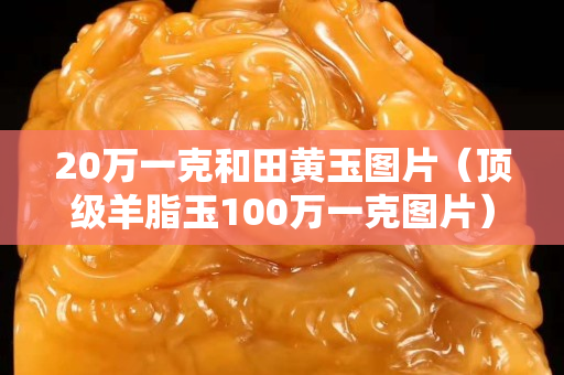 20万一克和田黄玉图片（顶级羊脂玉100万一克图片）