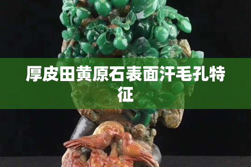 厚皮田黄原石表面汗毛孔特征