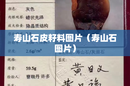 寿山石皮籽料图片（寿山石图片）