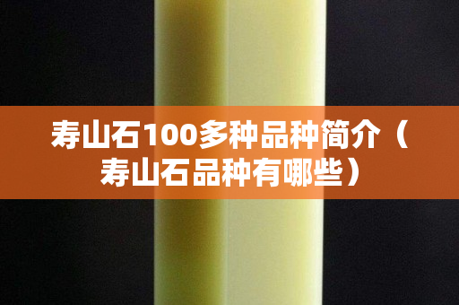 寿山石100多种品种简介（寿山石品种有哪些）