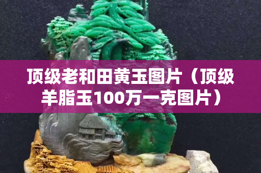 顶级老和田黄玉图片（顶级羊脂玉100万一克图片）