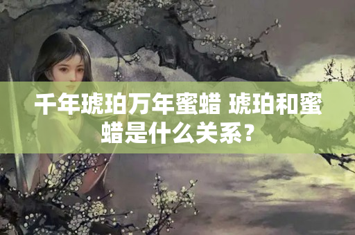 千年琥珀万年蜜蜡 琥珀和蜜蜡是什么关系？