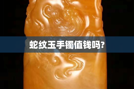 蛇纹玉手镯值钱吗?