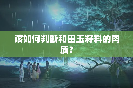 该如何判断和田玉籽料的肉质？