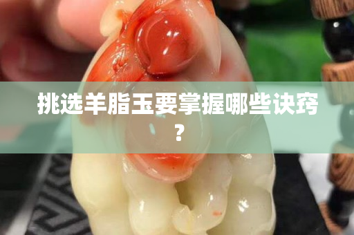 挑选羊脂玉要掌握哪些诀窍？