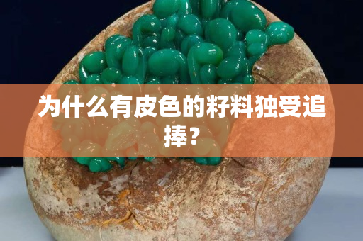 为什么有皮色的籽料独受追捧？