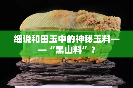 细说和田玉中的神秘玉料——“黑山料”？