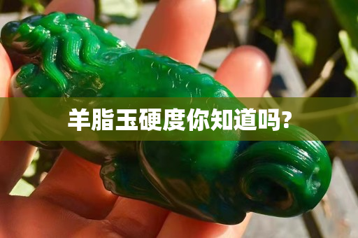 羊脂玉硬度你知道吗?