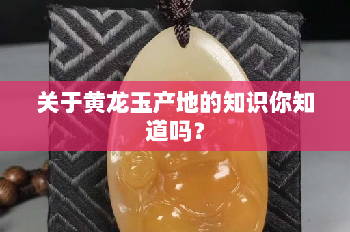 关于黄龙玉产地的知识你知道吗？