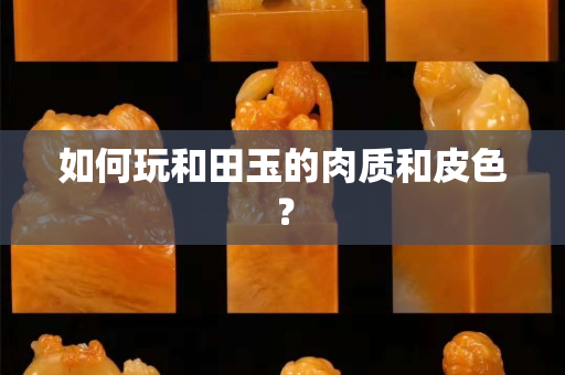 如何玩和田玉的肉质和皮色？