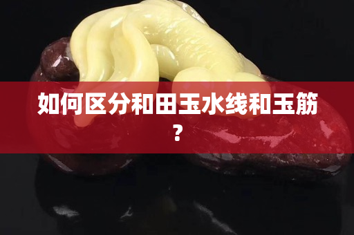 如何区分和田玉水线和玉筋?