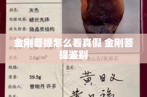 金刚菩提怎么看真假 金刚菩提鉴别