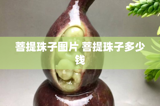 菩提珠子图片 菩提珠子多少钱