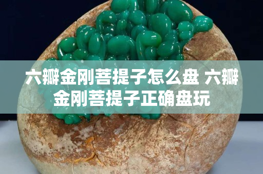 六瓣金刚菩提子怎么盘 六瓣金刚菩提子正确盘玩