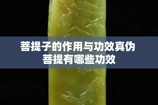 菩提子的作用与功效真伪 菩提有哪些功效